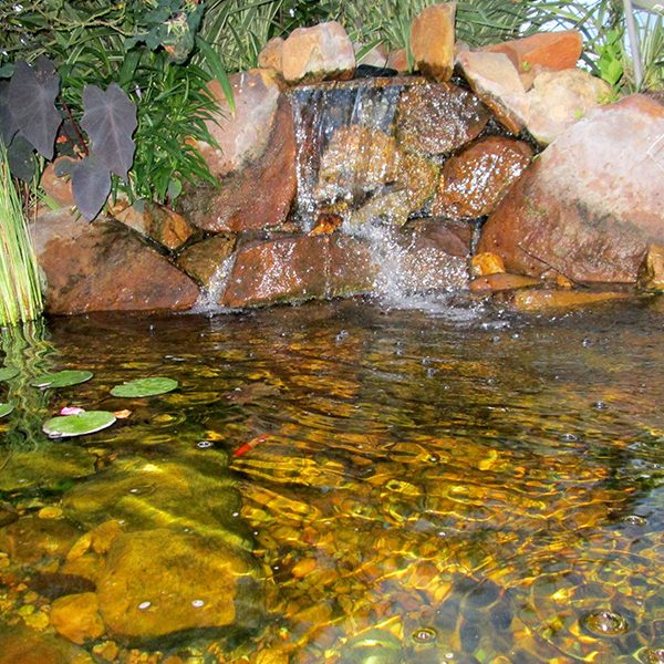 Koi Ponds and Water Gardens in The Woodlands - Aqua Features of Houston